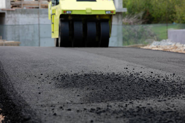 Best Interlocking Driveway Pavers  in Williamston, NC