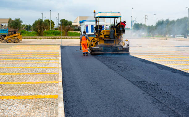 Best Residential Paver Driveway  in Williamston, NC