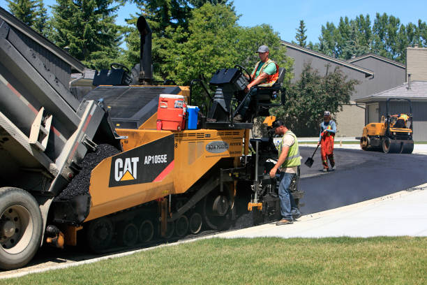  Williamston, NC Driveway Pavers Pros